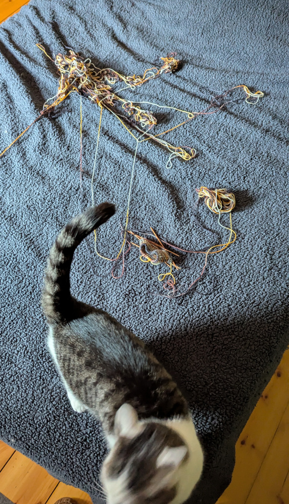 Ruthie, a petite white and grey tabby shorthair cat, stands on a bed in front of her masterpiece: a tangle of sock yarn, still attached to a sock project with just the cuff complete